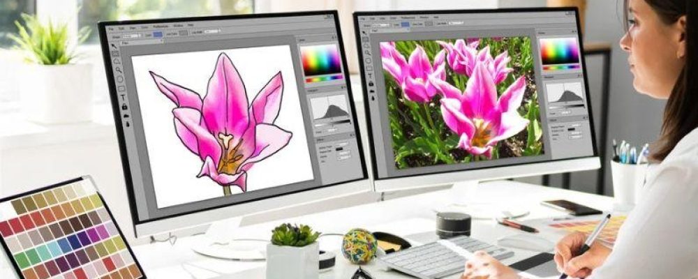 Expert in graphic design: professional tips and techniques