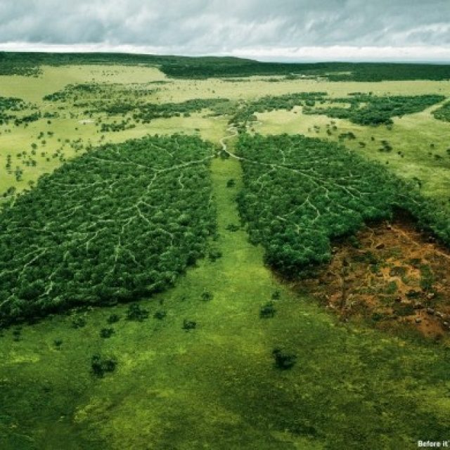 Creating graphic design with ecological awareness