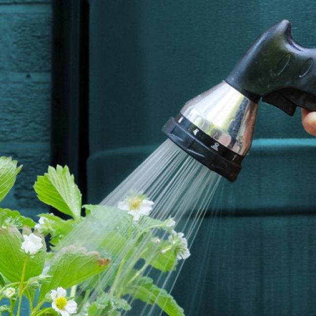 How to optimize water use at home