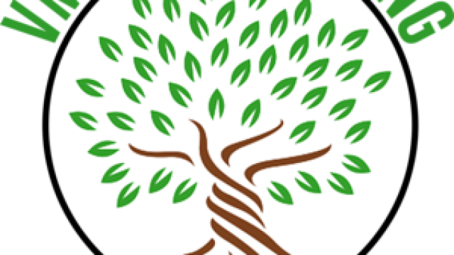 VMS Landscaping & Tree Services